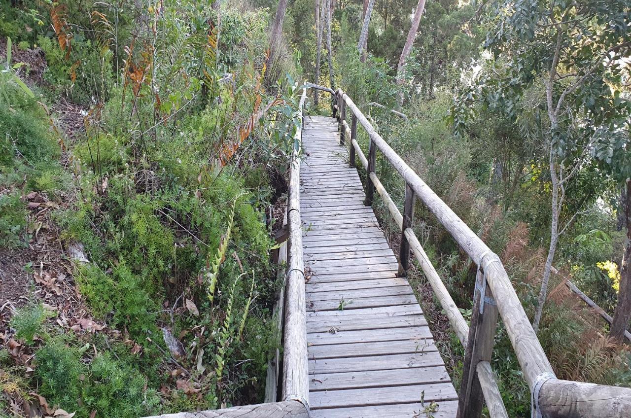 Macquarie Lodge Noosa Heads Exterior foto